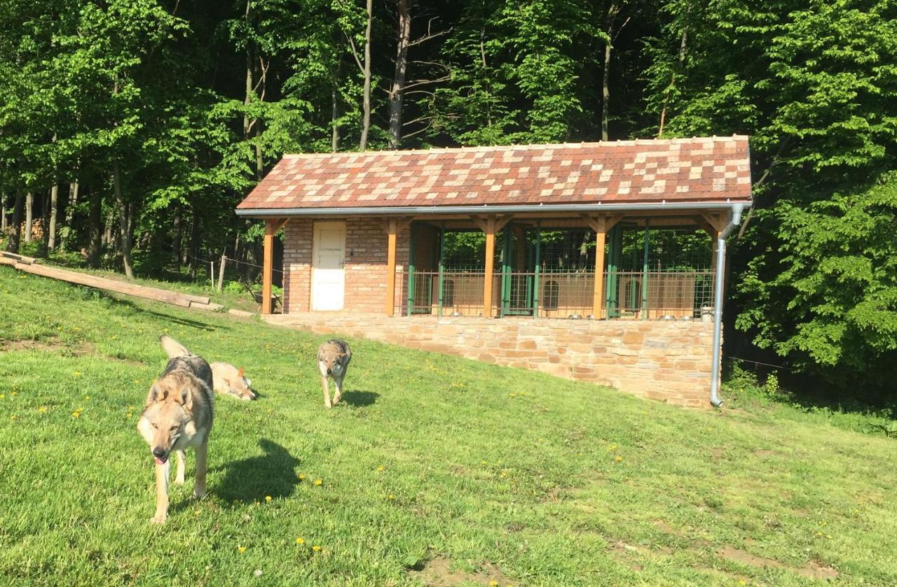 Chata Koniaren Villa Pavlovce Buitenkant foto