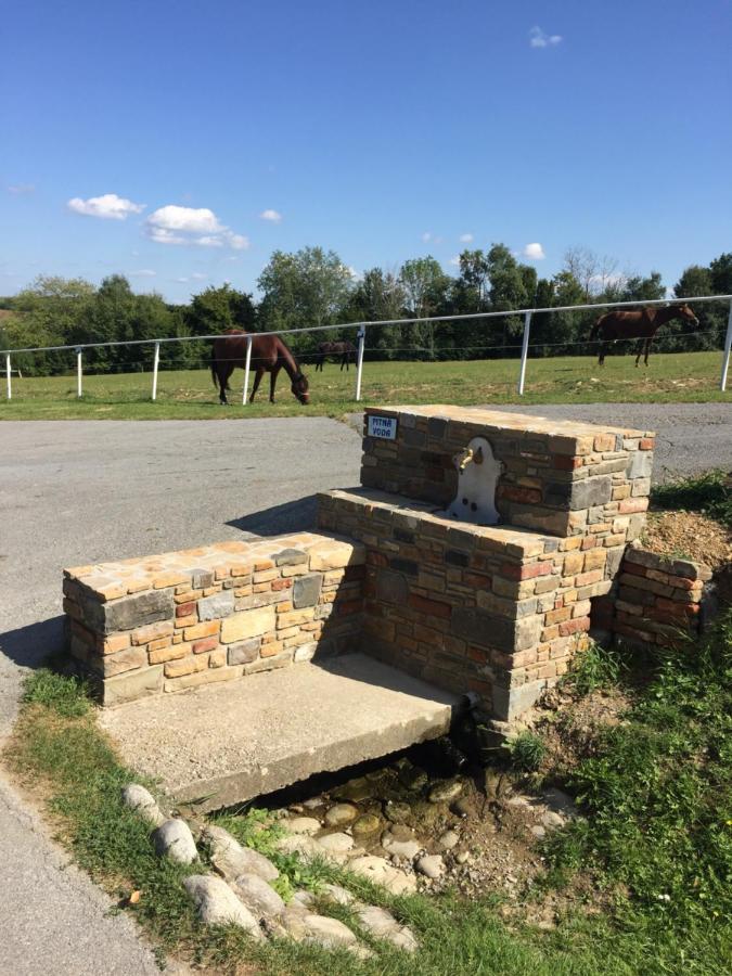 Chata Koniaren Villa Pavlovce Buitenkant foto