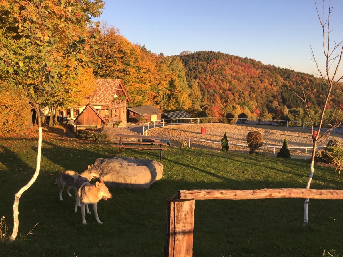 Chata Koniaren Villa Pavlovce Buitenkant foto